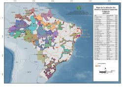 DSEIs no Brasil